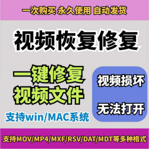 损坏MP4视频修复软件断电恢复工具短片导出摄像机视频文件修复-淘宝虚拟中转仓