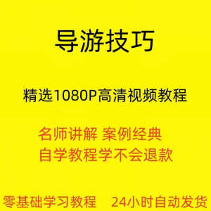 导游技巧视频教程新手自学零基础入门精通教学课程全集-淘宝虚拟中转仓