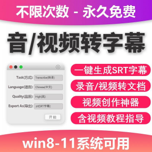 视频转字幕软件srt字幕提取制作多种语言选择不限时长win电脑使用-淘宝虚拟中转仓