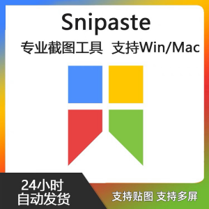 Snipaste for Mac 电脑截图贴图工具 支持Windows 苹果系统-淘宝虚拟中转仓
