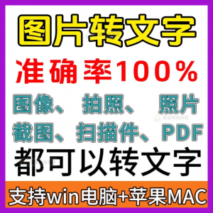 一键图片转文字拍照扫描件转Word文档Excel表格提取助手-淘宝虚拟中转仓