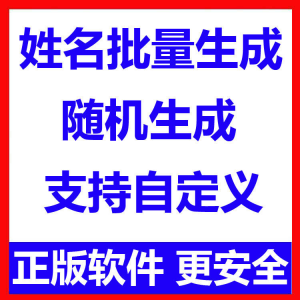 姓名批量生成工具 用户名随机不重复生成软件 可自定义-淘宝虚拟中转仓