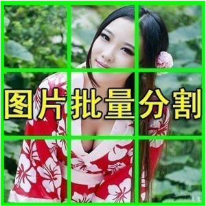图片批量切割软件 图片批量分割工具 批量切图器 图片批量裁剪-淘宝虚拟中转仓