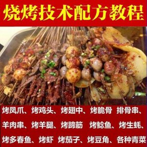 正宗全国烧烤技术配方全套视频教程配料技巧制作培训教学资料大全-淘宝虚拟中转仓