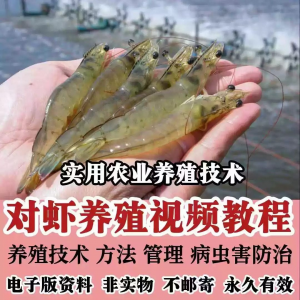 对虾养殖技术视频教学教程水质管理日常养护疾病防治南美白素材-淘宝虚拟中转仓