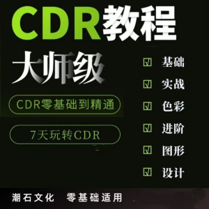cdr教程视频Coreldraw自学平面设计广告排版零基础入门学习课程-淘宝虚拟中转仓