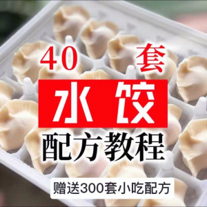 【0.01秒发】40套水饺技术配方 特制技术视频教程-淘宝虚拟中转仓