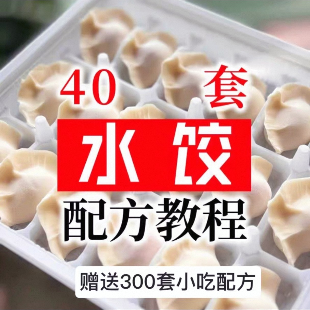 【0.01秒发】40套水饺技术配方 特制技术视频教程-淘宝虚拟中转仓