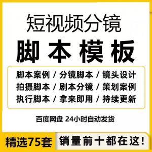 短视频拍摄脚本分镜头表模板抖音计划表剧本拉片宣传片策划表格-淘宝虚拟中转仓