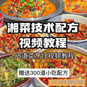 【0.01秒发】98道湘菜技术配方视频教程商用湖南菜炒菜特色小吃-淘宝虚拟中转仓