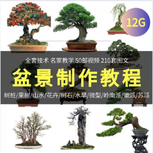 盆景制作技术视频教程工艺教学果树桩山水微型造型全套-淘宝虚拟中转仓