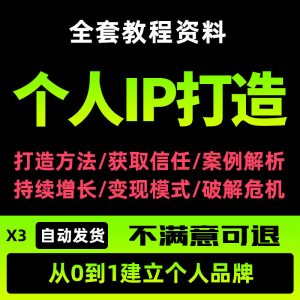 个人IP打造教程如何快速打造个人IP社交品牌定位训练营资料大全新-淘宝虚拟中转仓