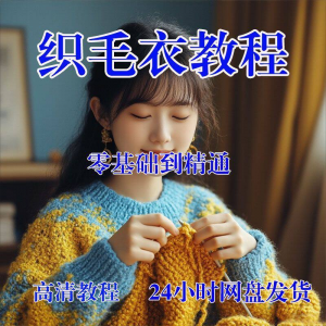 手工织毛衣视频零基础传统棒针钩针毛线编织婴儿童全套-淘宝虚拟中转仓
