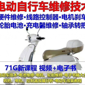 电动车维修视频自学教程零基础学习常见故障保养技术案例讲解大全-淘宝虚拟中转仓