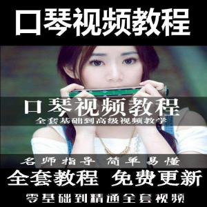 口琴自学教程视频零基础初学者入门到专业十孔24孔教学-淘宝虚拟中转仓