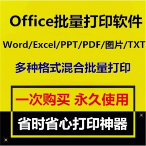 Office批量打印软件工具 Word/Excel/PPT/图片/PDF批量打印软件-淘宝虚拟中转仓