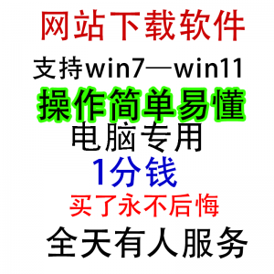 扒站扒网站扒网页扒全站下载修改下载软件克隆工具抓取拷贝单页-淘宝虚拟中转仓