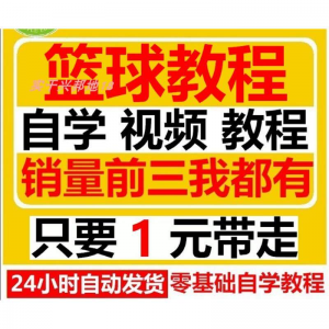篮球视频教程大全教学训练教学课程基础打篮球技巧街球零基础入门-淘宝虚拟中转仓