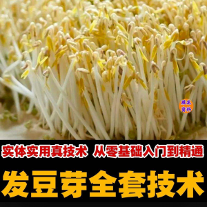 自学发豆芽技术资料豆芽加工制作方法教学 培育豆芽商用视频教程-淘宝虚拟中转仓