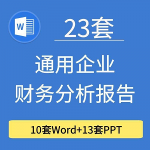 23套通用企业公司年度财务分析报告word电子文档模板PPT演示-淘宝虚拟中转仓