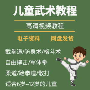 少儿童武术视频教程零基础自学咏春散打擒拿泰拳跆拳道防身术课程-淘宝虚拟中转仓
