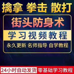 街头防身术擒拿拳击散打视频教程全套入门自学零基础学习教程视频-淘宝虚拟中转仓