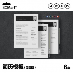 6套高级英文简历Word简历 ai psd设计师简历模板毕业生简历CV29-淘宝虚拟中转仓