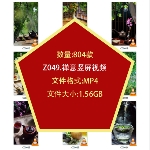 茶艺喝茶品茶竖屏泡茶文化意境禅意自媒体剪辑高清抖音短视频素材-淘宝虚拟中转仓