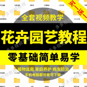 花卉园艺家庭养花盆栽苗圃栽培常识自学视频教程素材资料全套课程-淘宝虚拟中转仓
