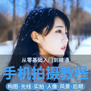 手机摄影教程snapseed人像后期修图拍摄拍照课程从入门到精通-淘宝虚拟中转仓